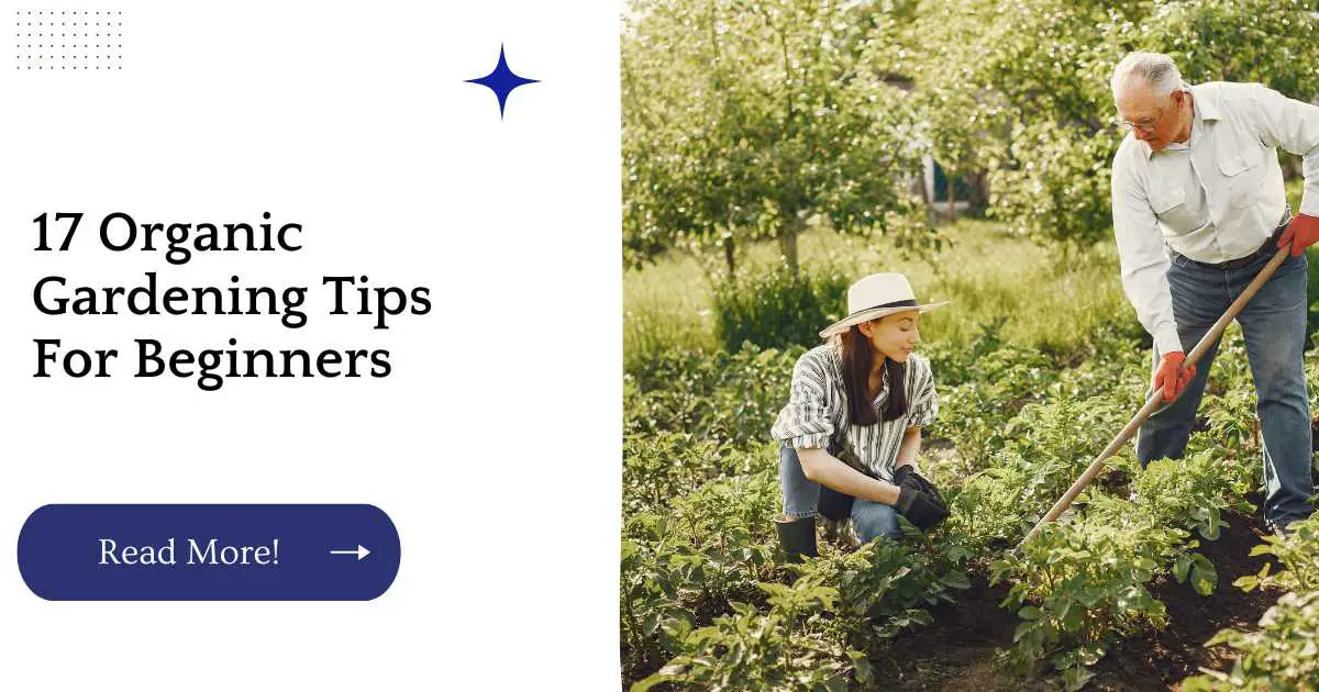 17 Organic Gardening Tips For Beginners