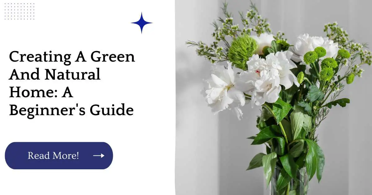 Creating A Green And Natural Home: A Beginner's Guide