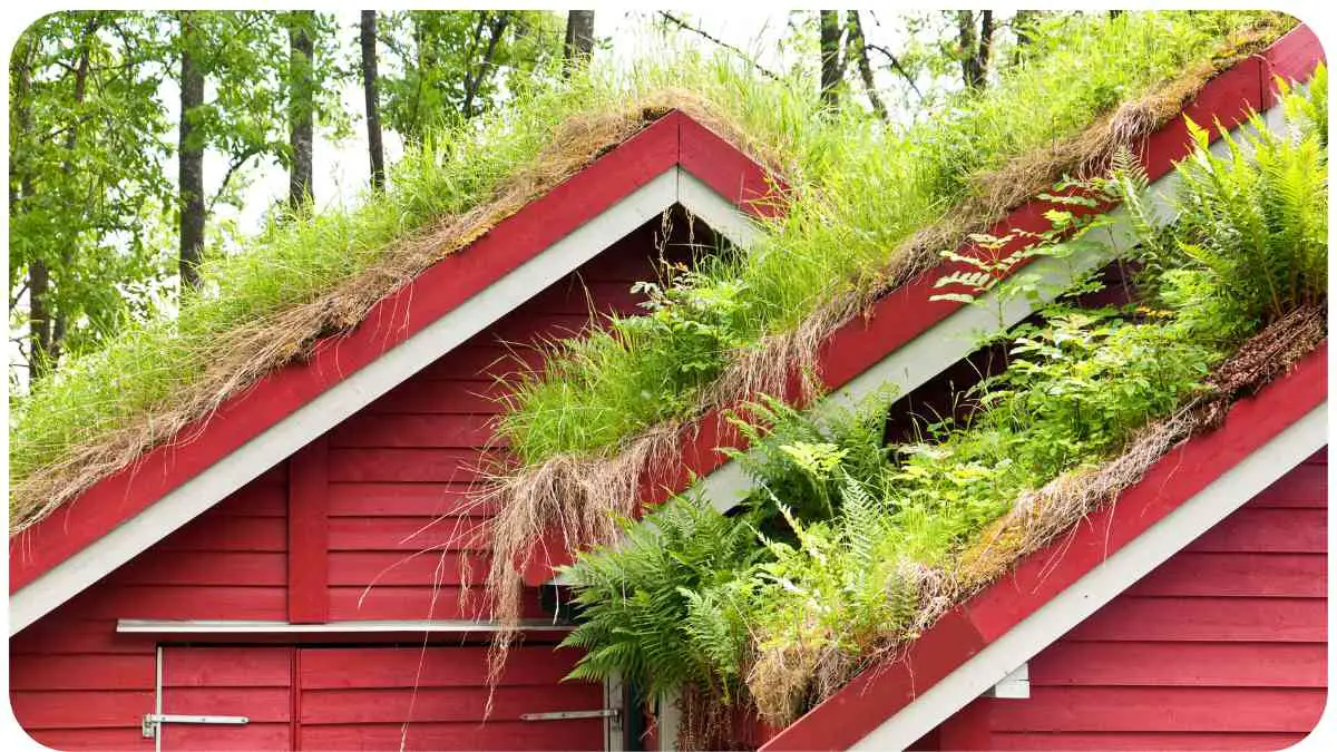 Green Building: How to Troubleshoot Leaky Living Roofs