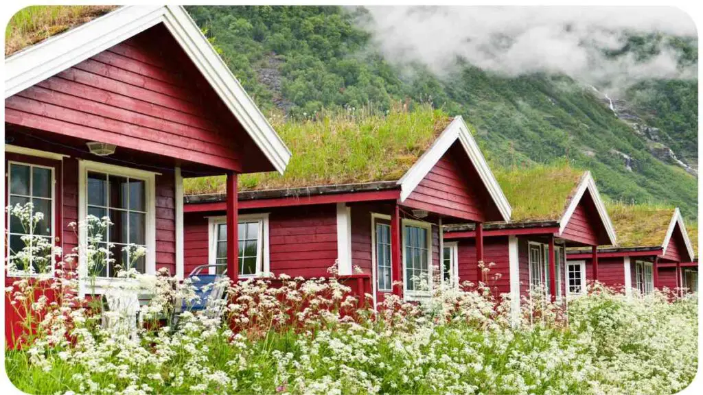 Green Roofs